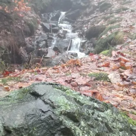 Familien Harzer Schoellchen شقة سانكت اندرياسبرغ