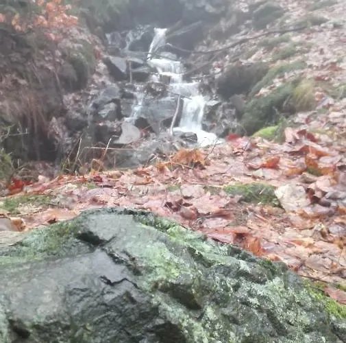 Familien Harzer Schoellchen شقة سانكت اندرياسبرغ